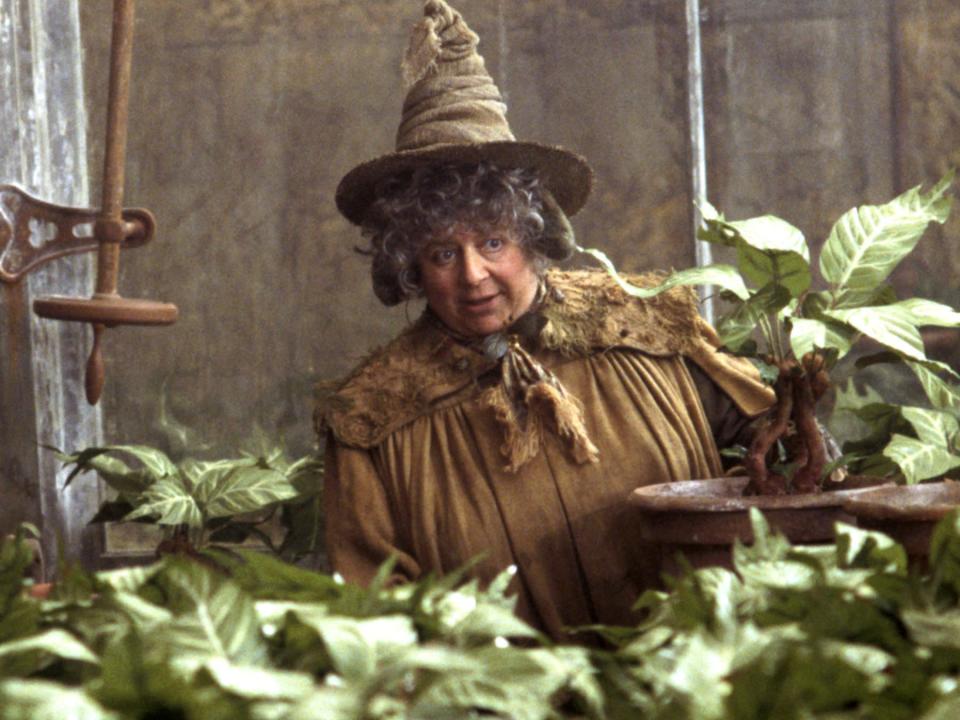 professor sprout harry potter