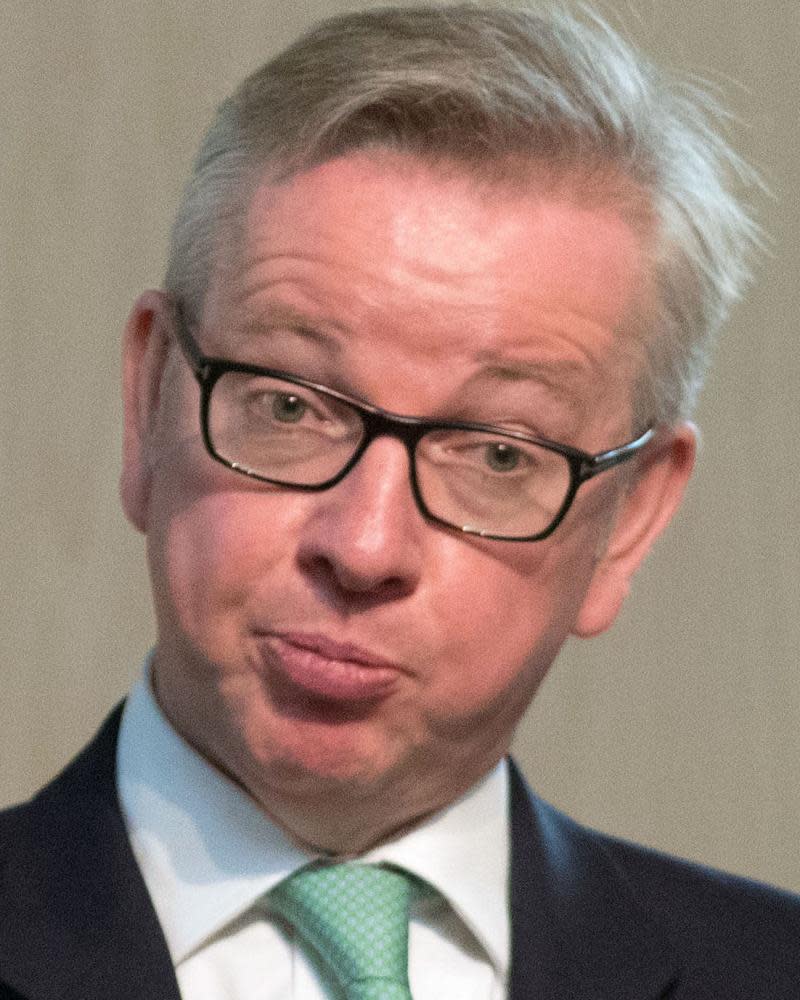 Hardline Brexiter Michael Gove and other leading Eurosceptics will not be happy if the UK ends up bound by existing EU regulations.