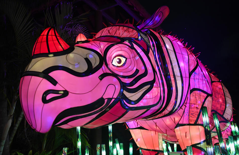 PHOTOS: Vivid Sydney 2019