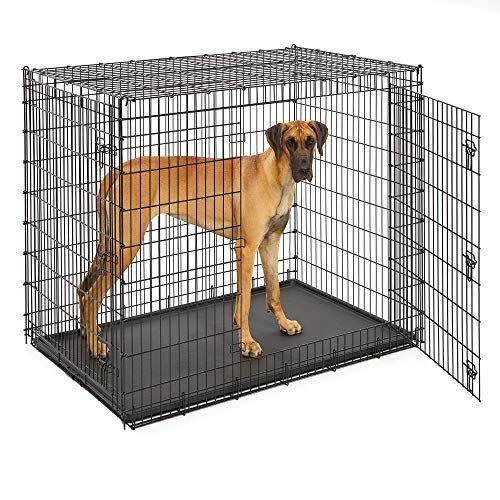 7) Ginormous Wire Dog Crate