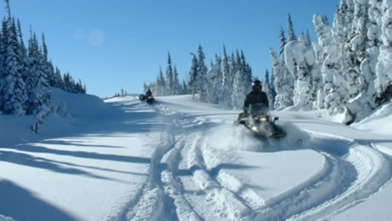 Speed a factor in Etobicoke woman&#39;s snowmobile death: police