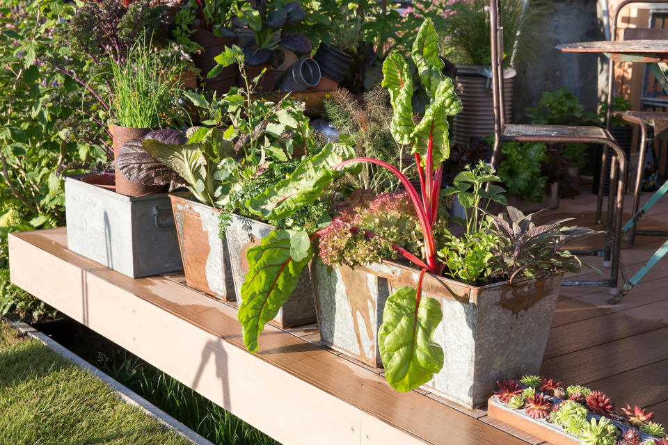 <p> Vegetable garden container ideas give you the opportunity to increase the productivity of your&#xA0;patio ideas.&#xA0;From beans and brassicas to tomatoes and pumpkins, there are so many different&#xA0;kitchen garden ideas&#xA0;that can be grown on a patio. Opt for attractive pots that will look pretty as part of your patio display and then pair with your favorite crops. Position your planted pots in a place where the vegetables can thrive.&#xA0; </p> <p> &#x2018;You don&#x2019;t have to spend big on landscaping or dig up half your garden for a fancy vegetable patch, add a lot of character to your garden by planting in pots and containers and scattering them around your garden. Use them to line your patio or seating space to add symmetrical vibrance to your outdoor space. You can repurpose household items to give a unique look to your garden, think unwanted furniture, vintage finds or even an old wheelbarrow,&apos; says Jack Sutcliffe, co-founder of&#xA0;Power Sheds. </p>