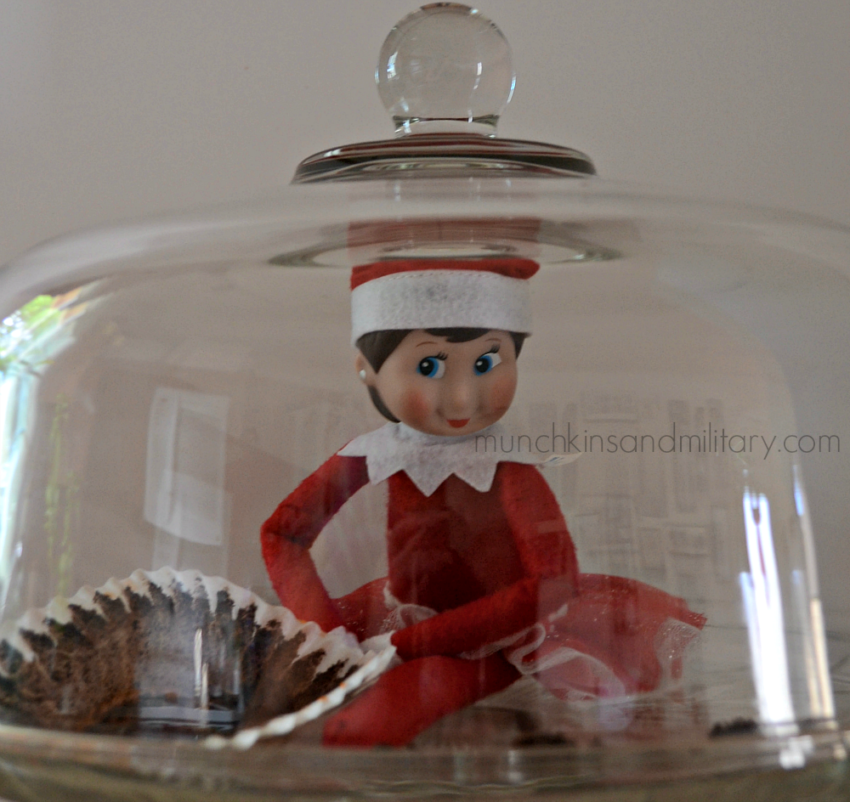 Hungry Elf on the Shelf