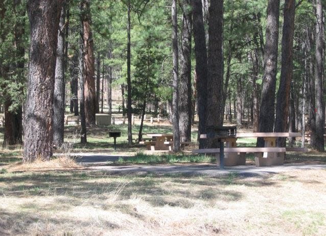 Cedar Creek Picnic area just outside of Ruidoso in the Lincoln National Forest