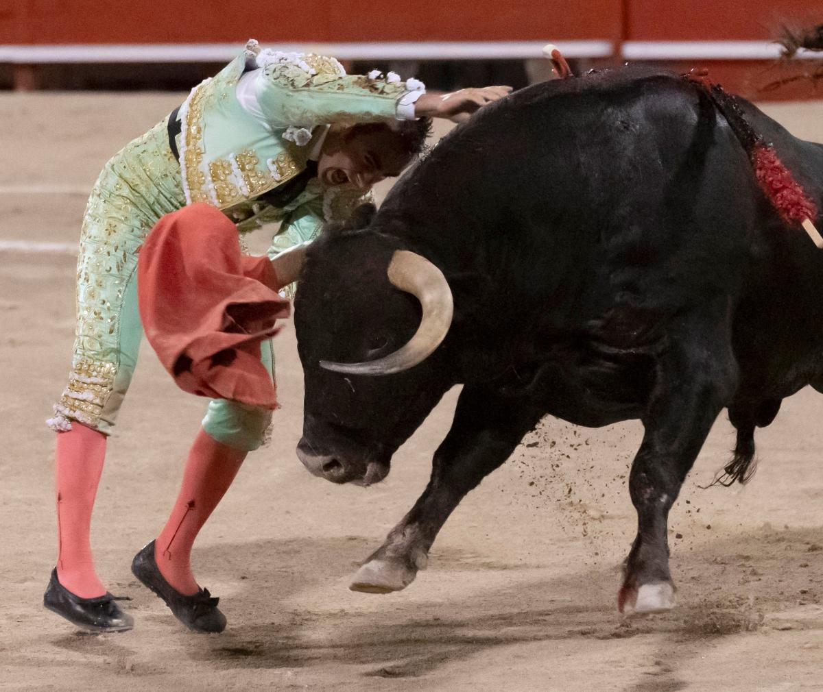 El Fandi' advierte del error de haber descuidado al espectador de las  corridas de toros - Libertad Digital - Cultura