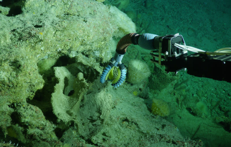 Remote-controlled robot arms allow submersible operators to perform tasks
