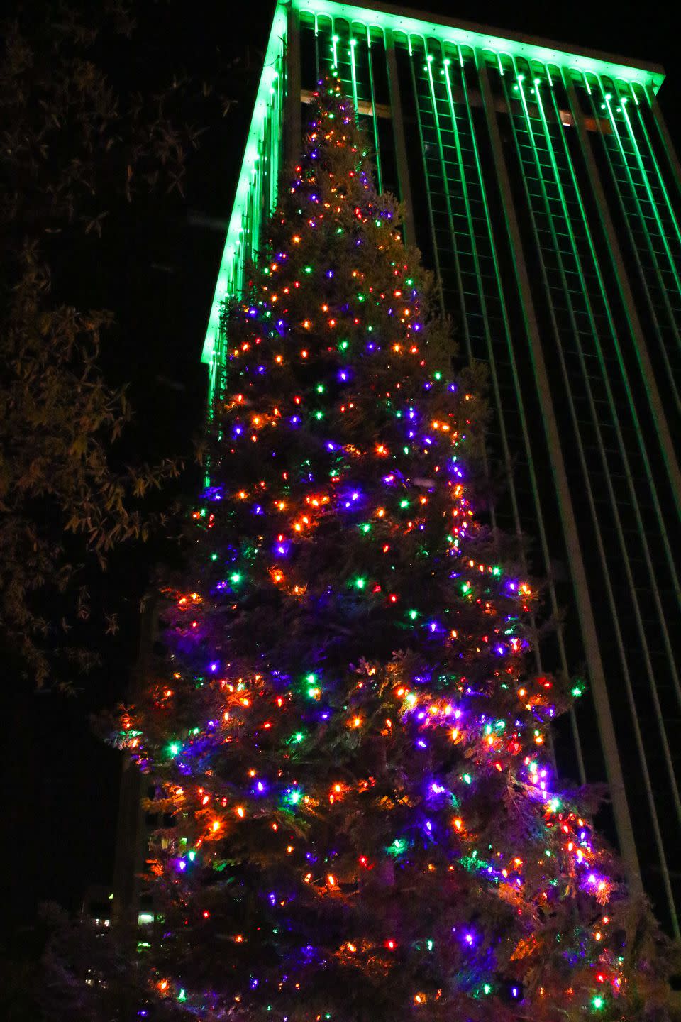 Arkansas: Capitol Plaza Christmas Tree