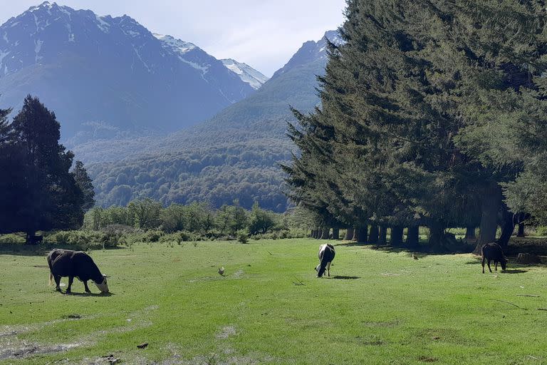 La granja está abierta para que los visitantes la puedan conocer