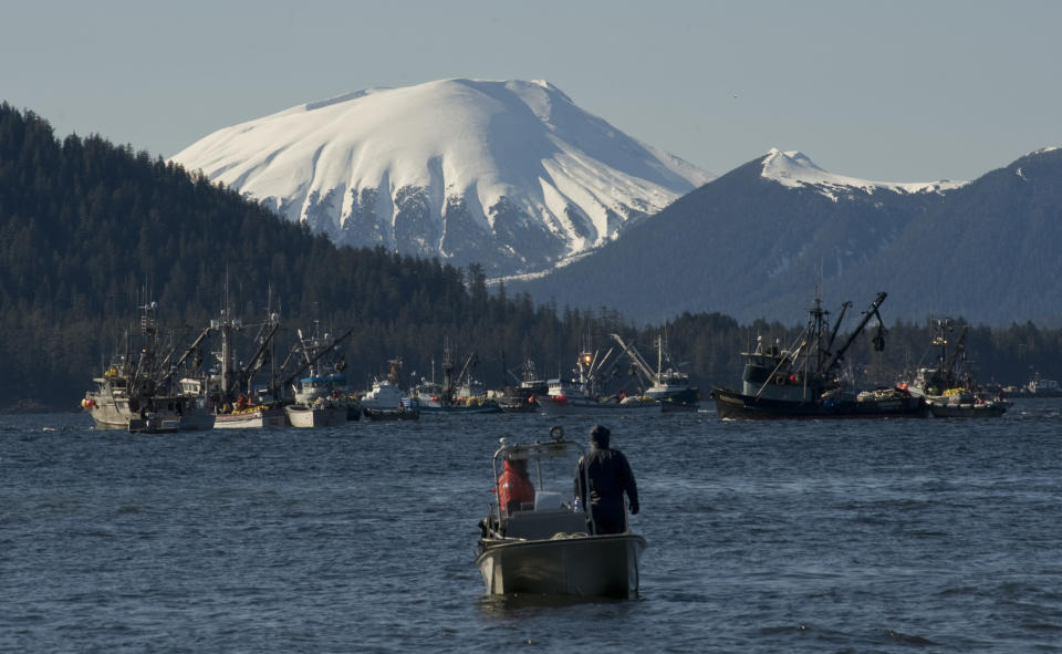 Boats jockey for position minutes before the opening of the Sitka Sound sac roe herring fishery on March 23, 2014, in Sitka, Alaska. Sitka is the home port for a charter fishing boat that sank in nearby waters killing three and leaving two lost at sea in late May 2023. The tragedy has put a spotlight on the safety of southeast Alaska's vibrant charter fishing industry and on the port town of Sitka, where charter operators charge thousands of dollars per person for guided fishing trips. (James Poulson/The Daily Sitka Sentinel via AP, File)