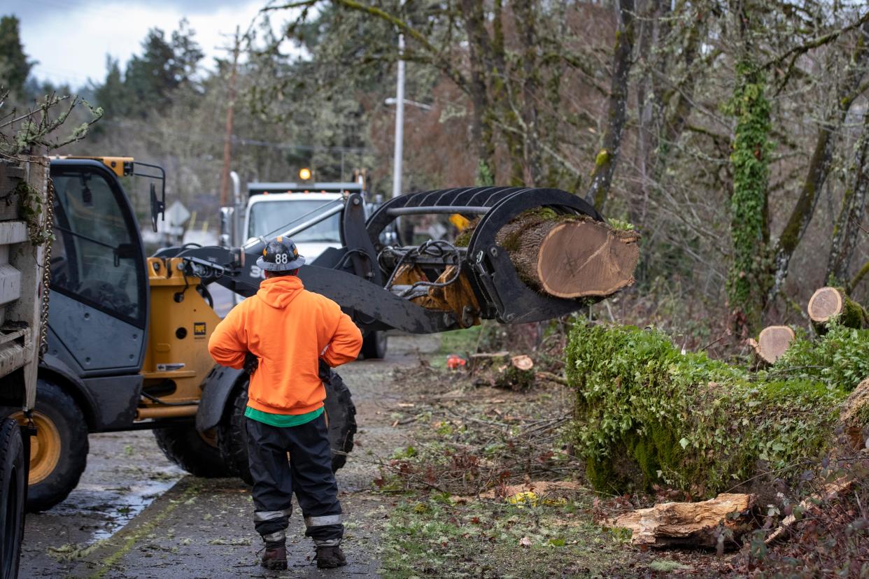 City of Cottage Grove crews clear ice storm debris along South River Road Jan. 24 in Cottage Grove.
