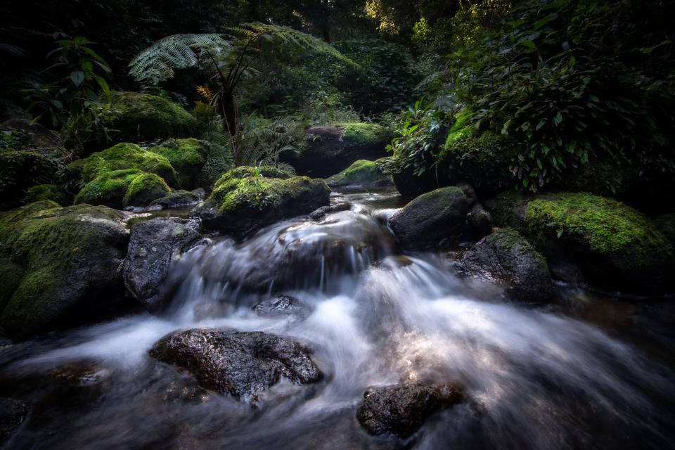 A stream on Mount Mabu