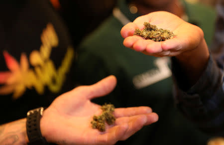 Guests hold cannabis buds that were handed out by activist Steven Thapelo Khundu at the expo entrance, encouraging attendees to bring them inside, during the opening of the four-day expo in Pretoria, South Africa, December 13, 2018. REUTERS Siphiwe Sibeko