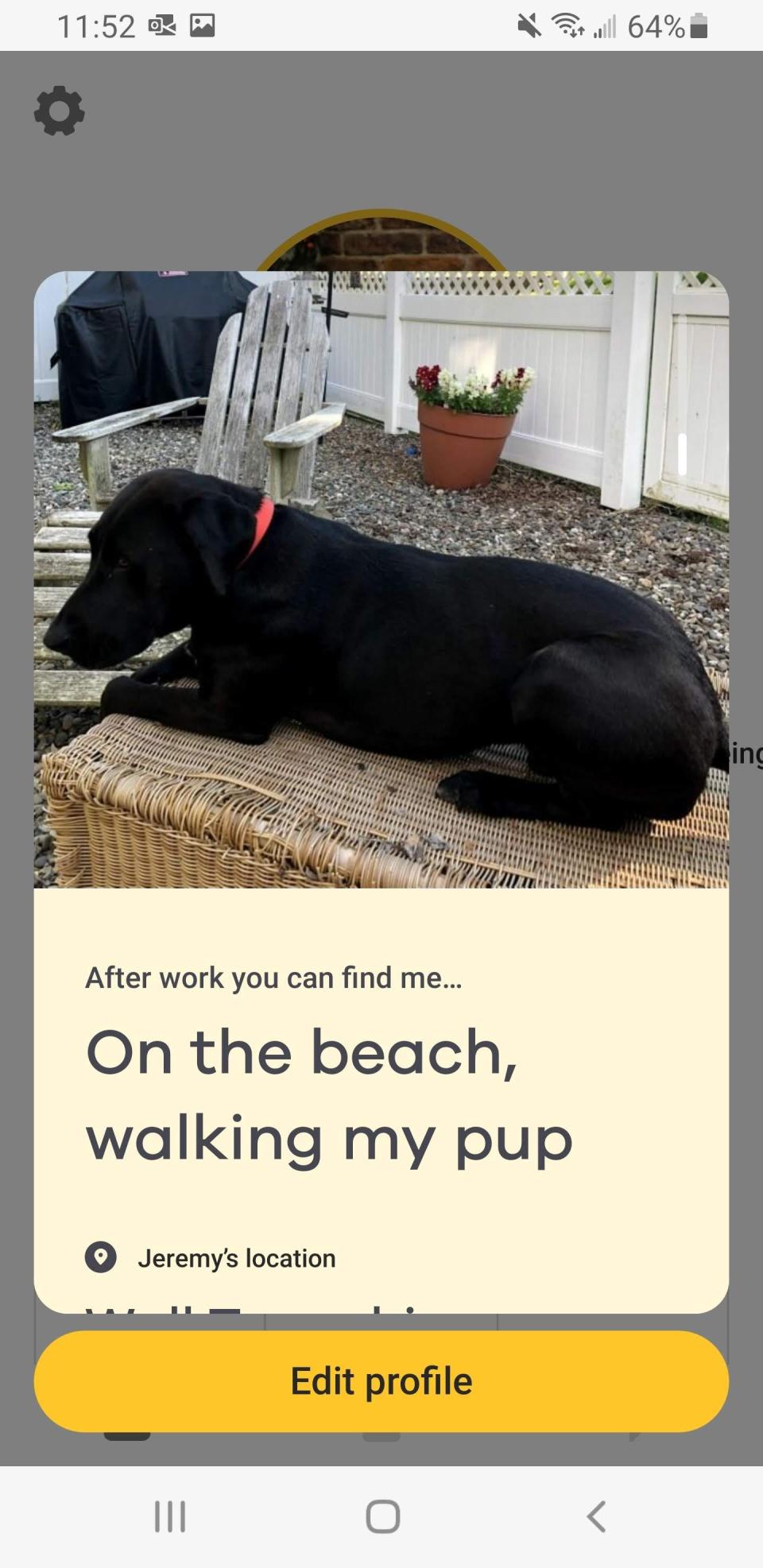 A black dog sits on a wicker bench.