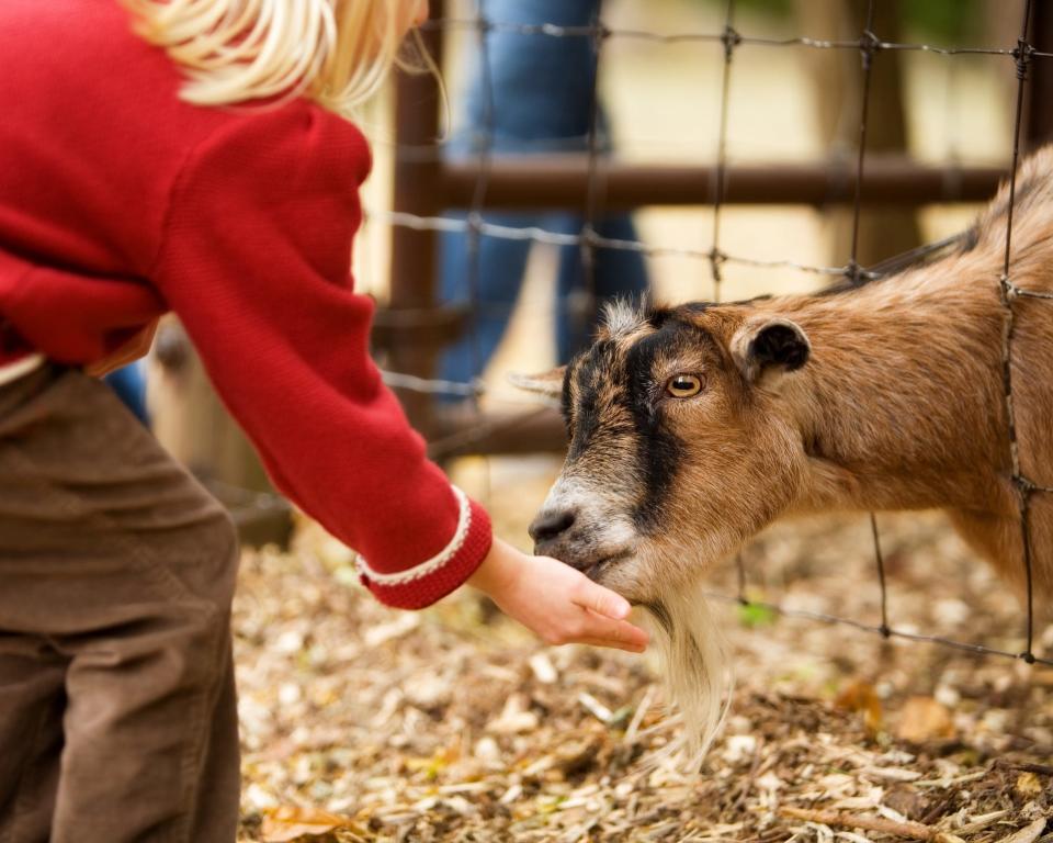 Franklin Park Conservatory and Botanical Gardens will welcome farm animals.