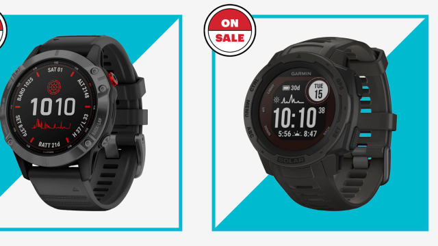 Forerunner® 255 Music by Garmin Online, THE ICONIC