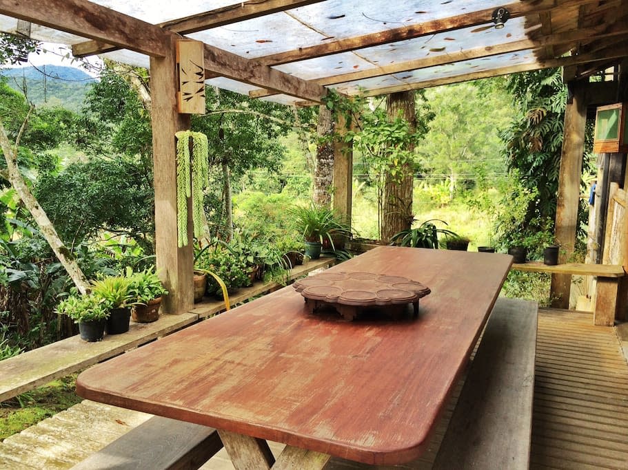 Checking in: Airbnb in a Brazilian rainforest