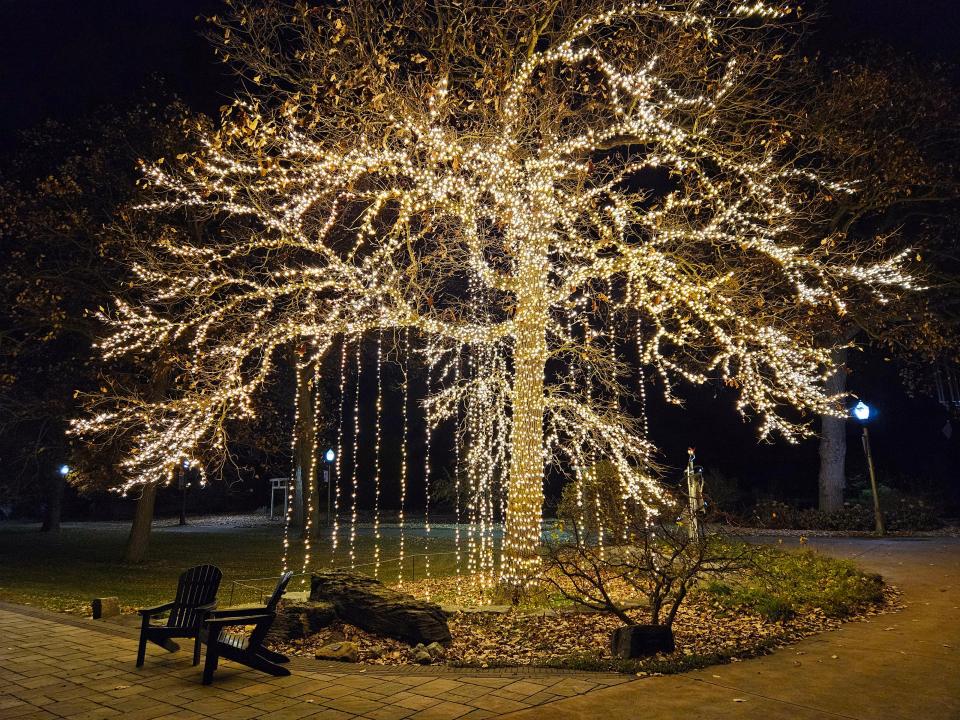 The popular Rain Tree returns in 2023 to the "Winter Wonderland Holiday Lights" at Wellfield Botanic Gardens in Elkhart.