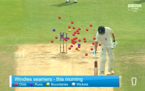 Windies beehive - Credit: Sky Sports Cricket