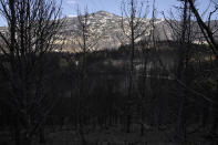 The blackened Penteli mountain, which had been burned in a mid-August wildfire, is seen in northern Athens, Thursday, Aug. 22, 2024. (AP Photo/Thanassis Stavrakis)