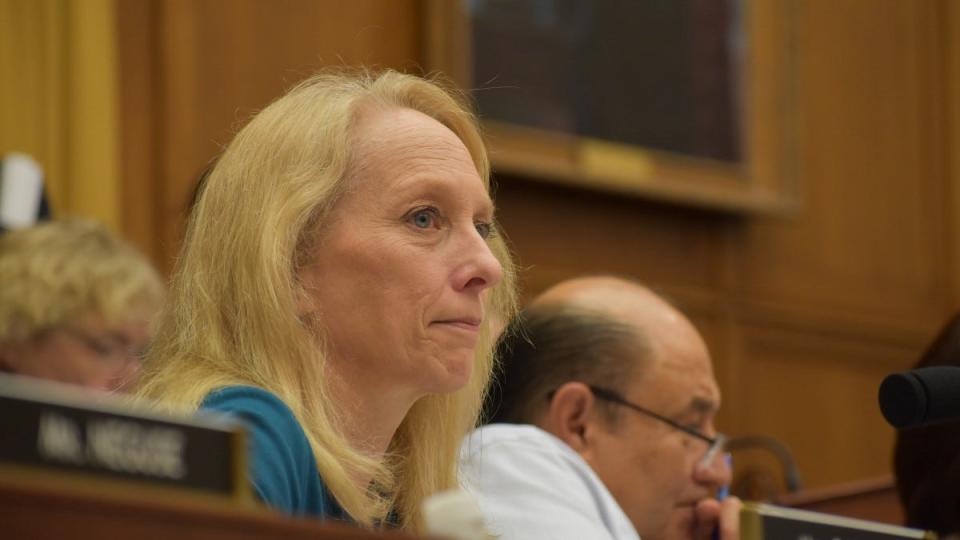 A newly elected congresswoman in 2018, U.S. Rep. Mary Gay Scanlon was chosen this year by her peers to be the vice chair of the House Judiciary Committee which, among other things, is tasked with drafting articles of impeachment against the president.