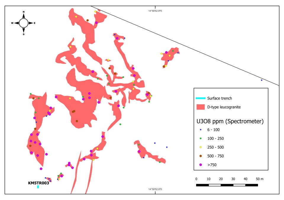 Figure 3: Mapped outcrop of D-type leucogranites north of Trench 3.