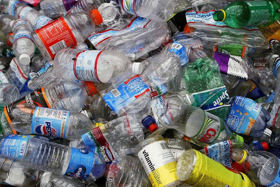 The proposed ordinance would prohibit the distribution of single-use plastic bags, single-use plastic food service containers and single-use polystyrene containers on town property including buildings and parks.
