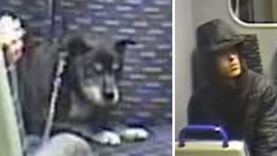 The dog was so terrified it defecated while on the Essex train. Source: British Transport Police.