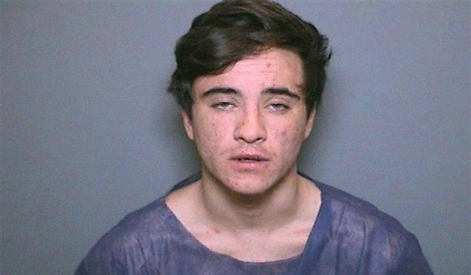 Aquinas Kasbar, 19, of Newport Beach,  pleaded guilty on Monday, July 8, 2019, to stealing a lemur from the Santa Ana Zoo in Orange County.