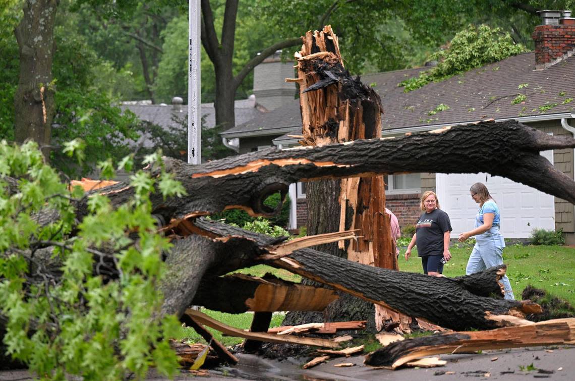 After severe storms ripped through the metro area, a large tree blocked Tomahawk Road near 78th Street on Friday, July 14, 2023, in Prairie Village. Tammy Ljungblad/tljungblad@kcstar.com