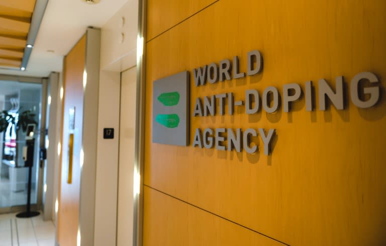 The World Anti-Doping Agency has called the Enhanced Games 'dangerous and irresponsible' (Andrej Ivanov)