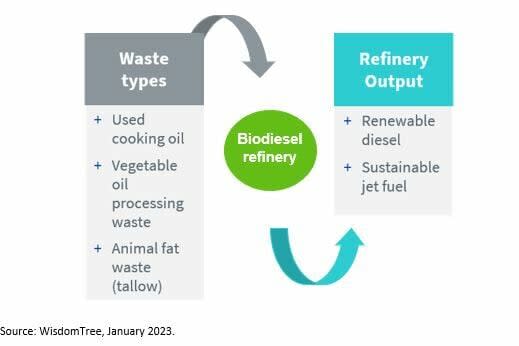 combustibles_wisdom1