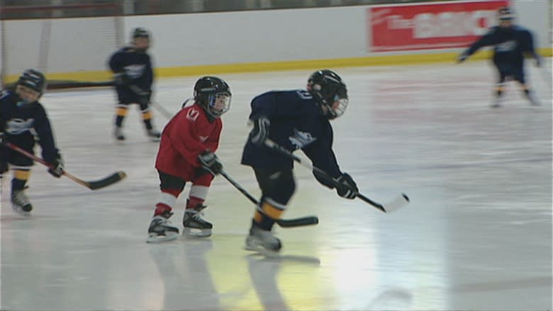 ​​​Half-rink hockey: Why defying a new rule could mean severe sanctions for 1,000s of GTA players