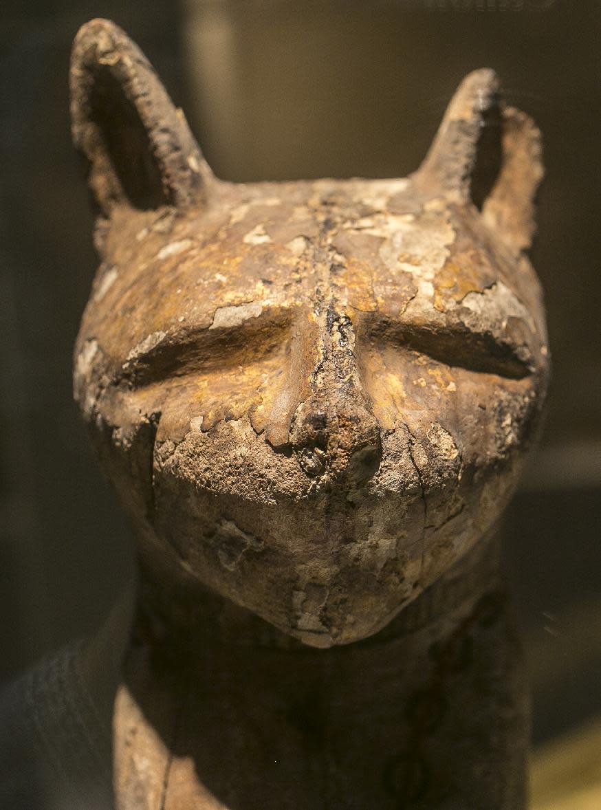 In this March 20, 2014 photo, a cat coffin with mummy, is displayed as part of the exhibit "Soulful Creatures: Animal Mummies in Ancient Egypt," at the Orange County's Bowers Museum in Santa Ana, Calif. The exhibition is on the ancient the mummification of animals in the Egyptian culture and religion. Drawn from the renowned collections of the Brooklyn Museum, Soulful Creatures features choice examples from among the many millions of mummies of birds, cats, dogs, snakes, and other animals preserved from at least thirty-one different cemeteries throughout Egypt. (AP Photo/Damian Dovarganes)