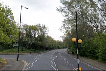 <p>The incident took place on Woolwich Manor Way as the girls walked to school</p> (Google streetview)