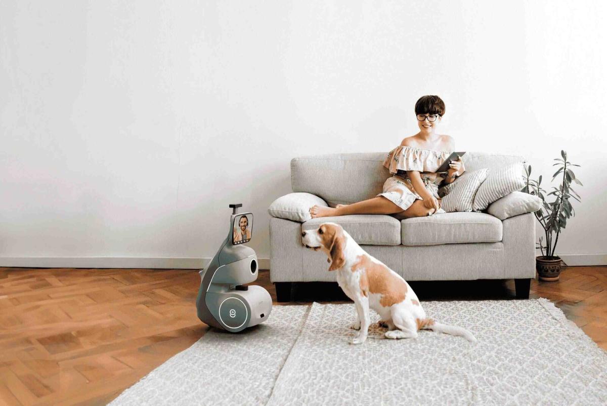 CES 2024: Invoxia Launches AI Wearable That Monitors Your Pet's Health -  MacRumors