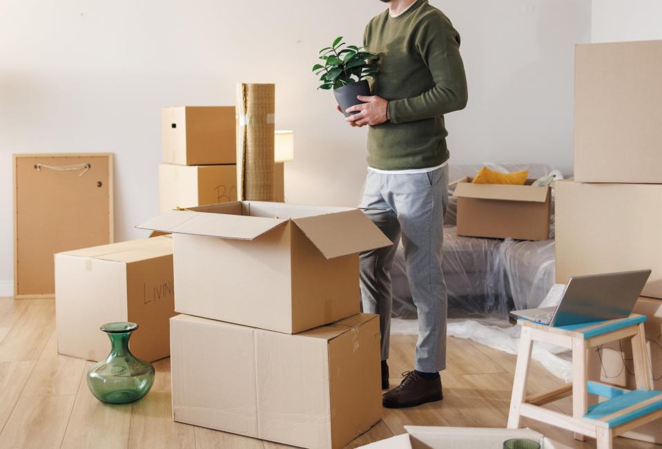 Man holding a potted plant stands among cardboard boxes in a room, suggesting a moving or unpacking scenario. Various boxes and items are scattered around