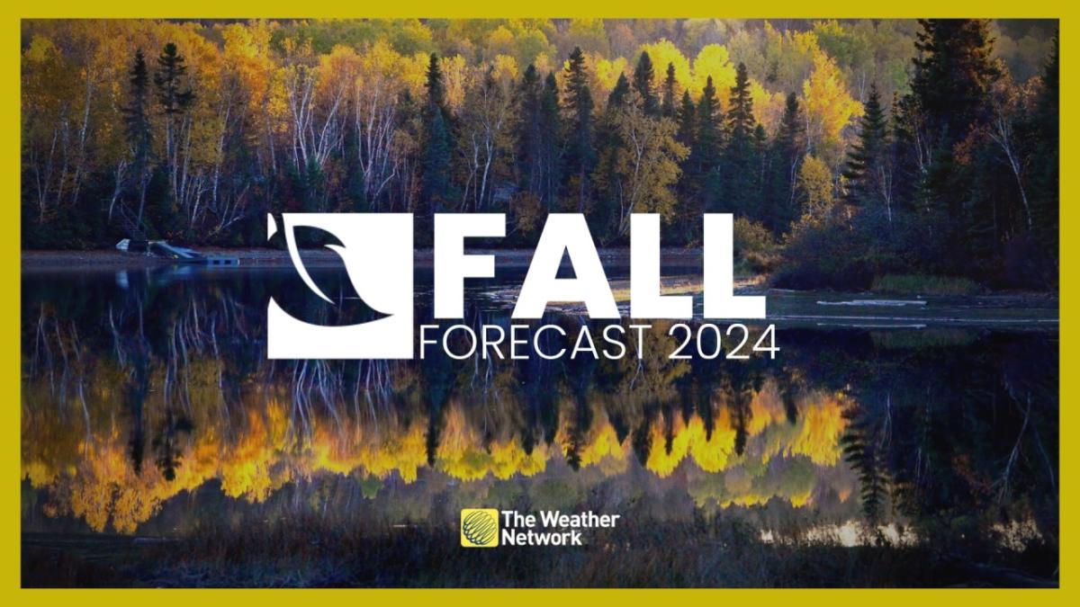 Canada’s 2024 Fall Forecast: Will autumn end with a free fall into winter?