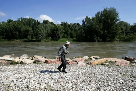 Stone collector Luigi Lineri, 79, walks along Adige river as he searches for stones in Zevio, near Verona, Italy, June 10, 2016. REUTERS/Alessandro Bianchi