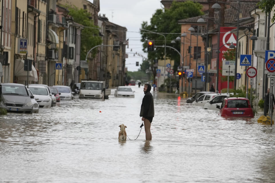 A man walks his dog along a flooded street in Castel Bolognese, Italy, Wednesday, May 17, 2023. Exceptional rains Wednesday in a drought-struck region of northern Italy swelled rivers over their banks, killing at least eight people, forcing the evacuation of thousands and prompting officials to warn that Italy needs a national plan to combat climate change-induced flooding. (AP Photo/Luca Bruno)