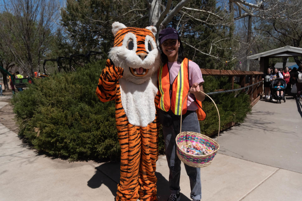 A tiger greets kids with Easter candy in April 2023 at the annual “Easter Eggcitement" at the Amarillo Zoo.