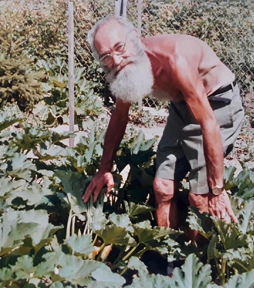 Giuseppe Carlomusto, in the 1980s, in his garden tending to his fava beans that are a part of his Penrod garden in the Warrendale community of Detroit.