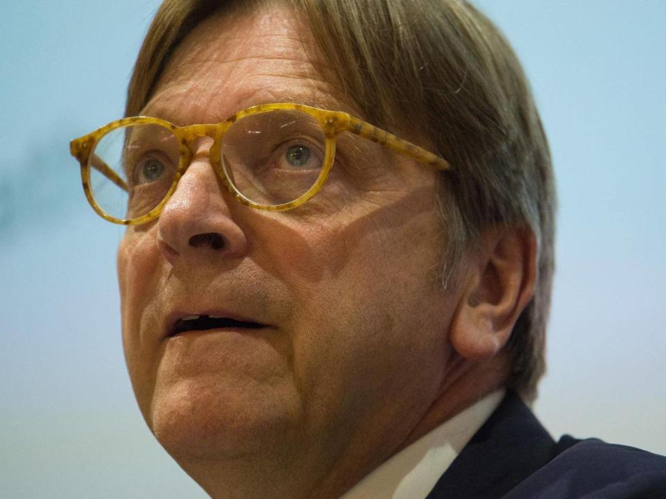 European Parliament Brexit co-ordinator Guy Verhofstadt (PA)