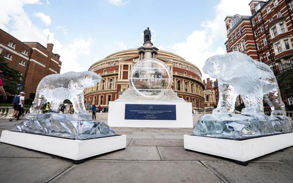 Ice sculptures of polar bears outside the Royal Albert Hall - PA