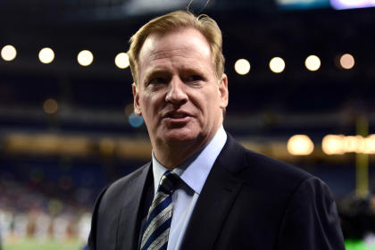 Roger Goodell (USA TODAY Sports) 