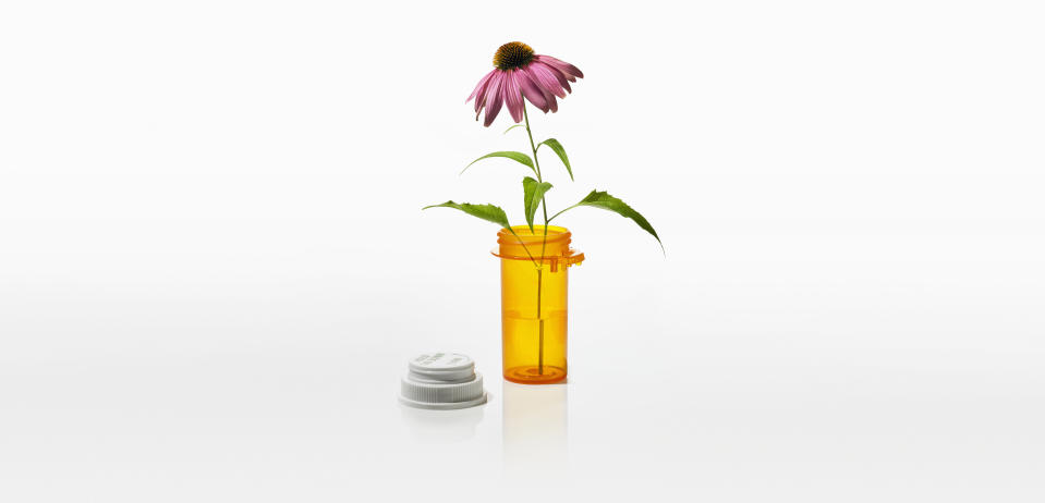 Echinacea