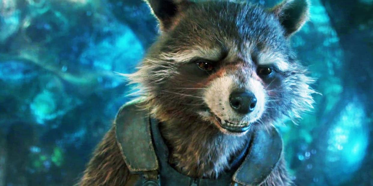 Rocket Racoon (Credit: Marvel/Disney)