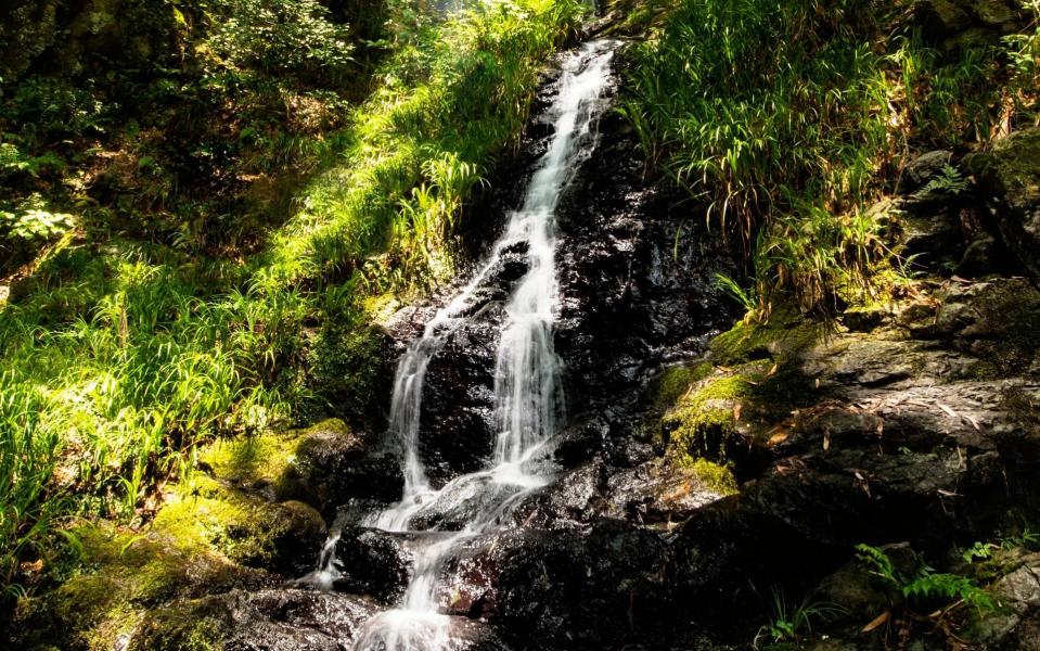 The waterfalls outside the Yamazaki distillery