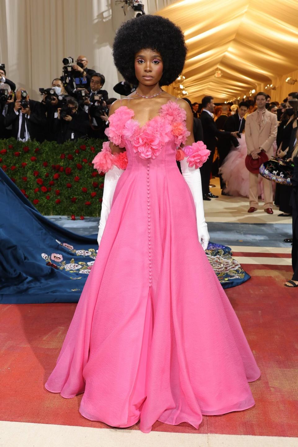 Met Gala Red Carpet 2022