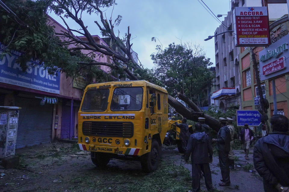 People watch a tree being removed after it was uprooted by heavy rainfall in Chennai, in the southern Indian state of Tamil Nadu, Thursday, Nov. 11, 2021. At least 14 people have died in Tamil Nadu during days of heavy rains, officials said Thursday. Several districts in the state are on high alert, bracing for more torrents as a depression over the southwest Bay of Bengal is set to cross northern Tamil Nadu on Thursday evening. (AP Photo/R. Parthibhan)