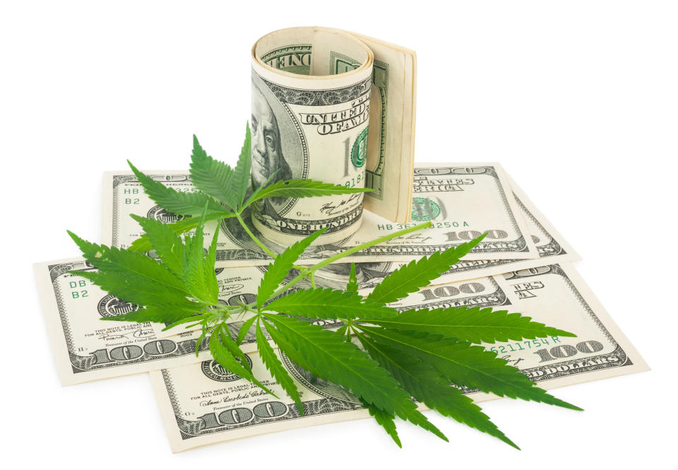 $100 bills and cannabis leaves